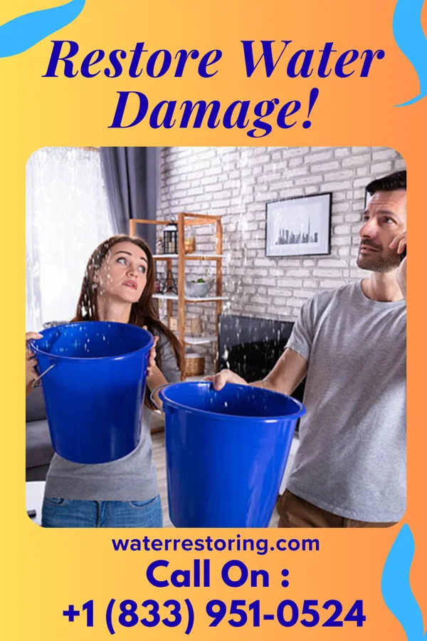 water restoration Ace Disaster Cleanup Authority Hampton Manor