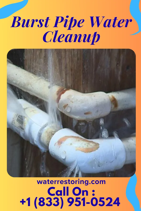 Burst Pipe Water Cleanup in Hampton Manor, NY