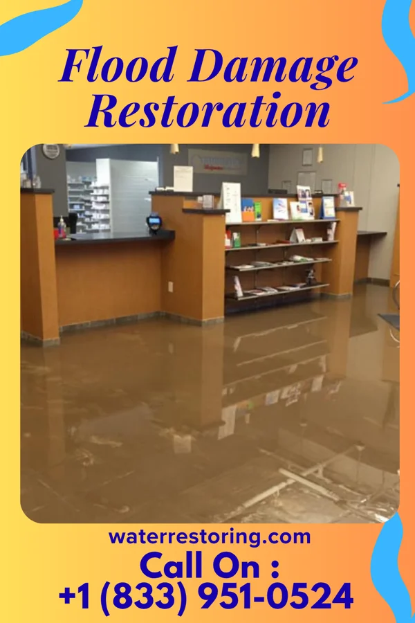 Flood Damage Restoration in Hampton Manor, NY