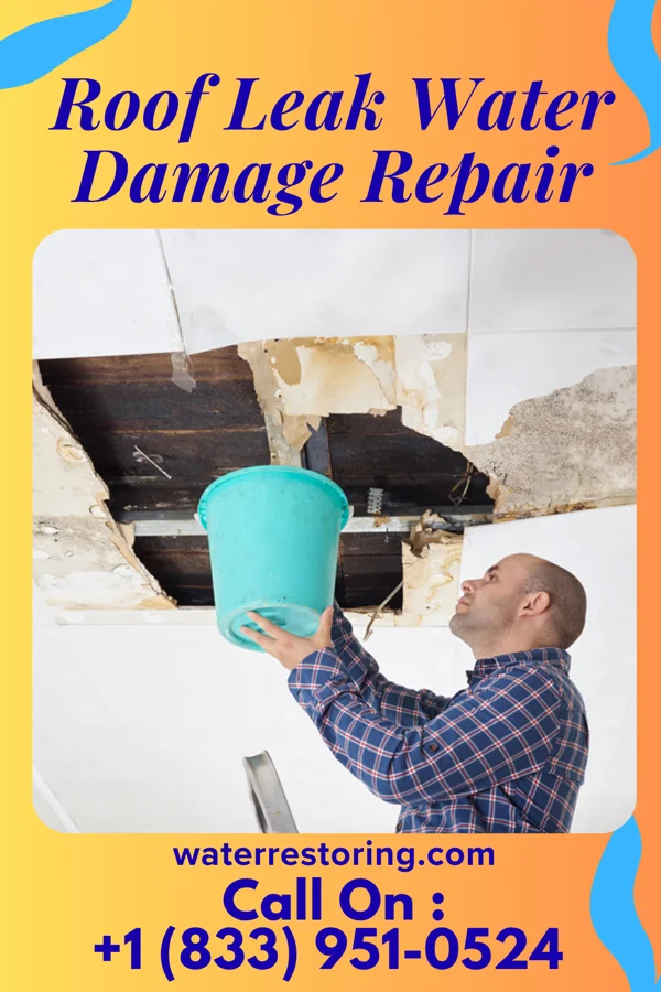 Roof Leak Water Damage Repair in Hampton Manor, NY