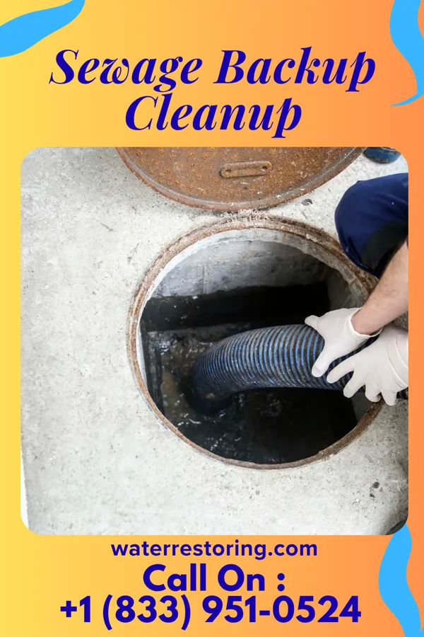 Sewage Backup Cleanup in Hampton Manor, NY
