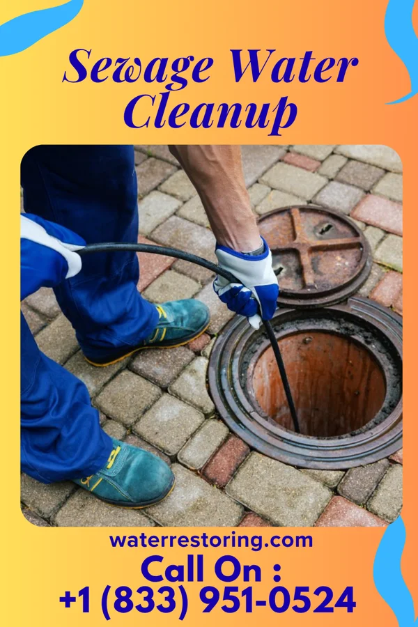 Sewage Water Cleanup in Hampton Manor, NY